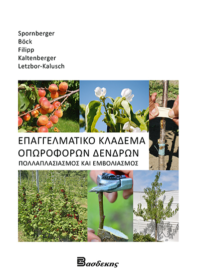 Επαγγελματικό Κλάδεμα Οπωροφόρων Δένδρων