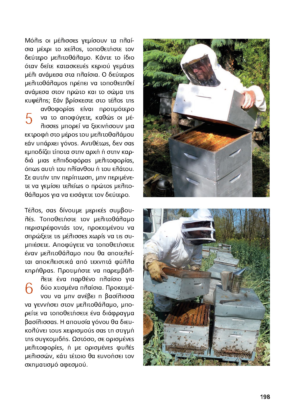 Η τοποθέτηση ενός μελισσοθάλαμου