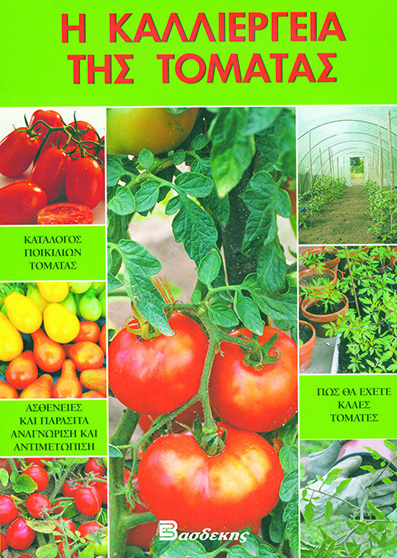 Η Καλλιέργεια της Τομάτας