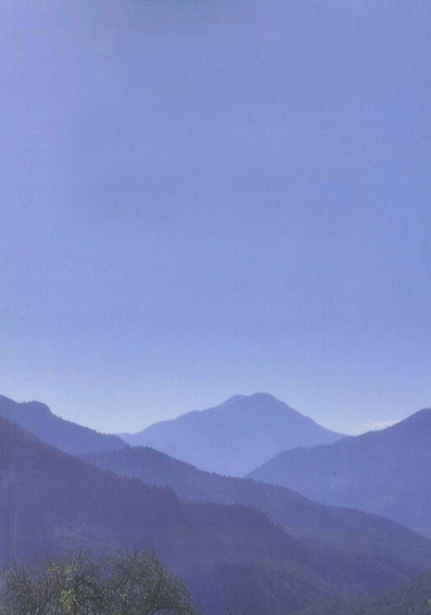 Πεζογραφία